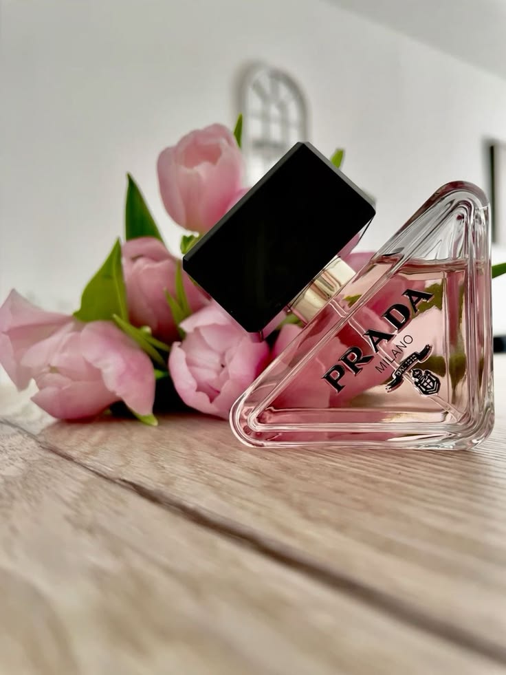 Prada Paradoxe